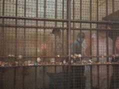 Urgent 24: Today, the trial of 13 defendants in the second Kardasa ISIS cell