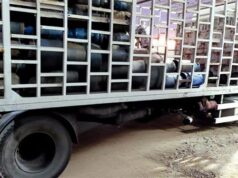 Urgent 24: A gas station collected 28,000 liters of diesel for sale on the black market in Beheira