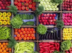 Urgent 24: Vegetable prices today, Sunday, March 15, 2026