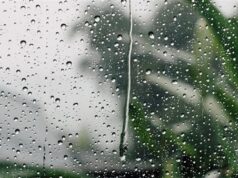 Urgent 24: Weather conditions today, Saturday, in Egypt: light rain and active winds