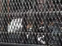 Urgent 24: Today.. 10 officials at the 6th of October Hospital are on trial, accused of causing blindness in 75 patients.