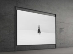 Samsung unveils the first 130-inch Micro RGB TV with full BT color coverage.2020 at #CES2026