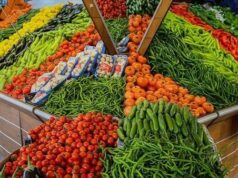 Urgent 24: Vegetable prices in the Obour Market today, Friday, March 27, 2026 in the markets