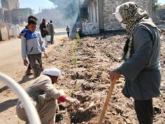 Urgent 24: After years of accumulations…an initiative to transform garbage collections in “Awlad Amr” in Qena into green spaces