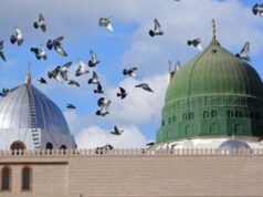 Urgent 24: Love for the family of the Prophet is an act of worship… and imitating them is the path to closeness to God