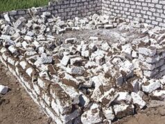 Urgent 24: Removing 20 cases of encroachment on agricultural lands in 3 centers in Qalyubia