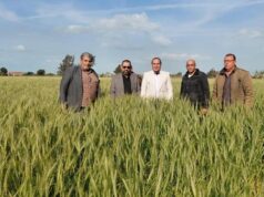 Urgent 24: Agriculture intensifies its field trips during Eid al-Fitr to follow up on the protection of lands and crops