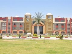 Urgent 24: Solidarity pays tuition fees for 813 students at New Valley University