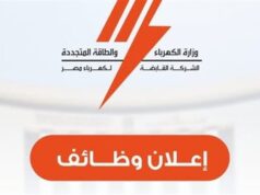 Urgent 24: The Egyptian Electricity Holding Company announces its need to employ an accountant in the General Administration of Financial Inspection