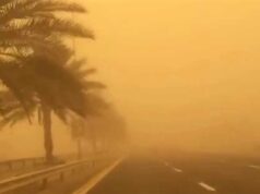 Urgent 24: Weather conditions now in Egypt: active winds and deteriorating horizontal visibility