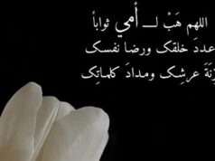 Urgent 24: An effective prayer for the deceased.. What is the ruling on publishing pictures of mothers on social media?