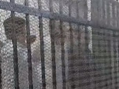 Urgent 24: Today.. the trial of 117 defendants in the “Media Cell” case.