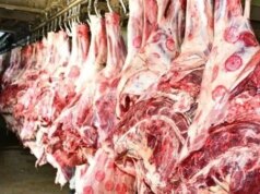 Urgent 24: Meat prices today, Thursday, March 12, 2026, in the markets