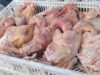 Urgent 24: More than a quarter of a ton of chicken and its derivatives were seized without validity data in Alexandria