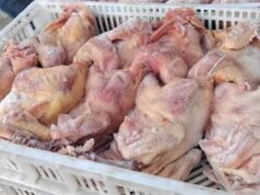 Urgent 24: More than a quarter of a ton of chicken and its derivatives were seized without validity data in Alexandria