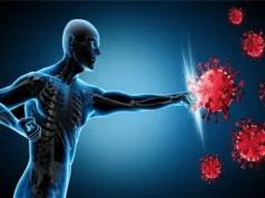 Urgent 24: A study reveals a modern medical technology that turns immune cells into lethal tools for penetrating tumors