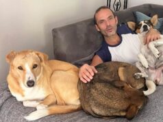 Urgent 24: Omar Hassan Youssef attacks those calling for the elimination of street dogs: Learn to man yourself first