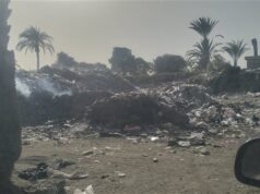 Urgent 24: The garbage collection center threatens health and distorts the surroundings of the railway tracks photo