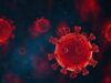 Urgent 24: The ninth wave of the Coronavirus hits New Zealand