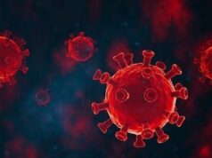 Urgent 24: The ninth wave of the Coronavirus hits New Zealand