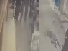 Urgent 24: He beat her with a cleaver during the day in Ramadan. A husband assaults his wife in the street in Tanta