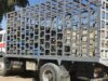 Urgent 24: 100 cylinders sold at more than the official price were seized in Qena