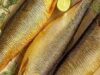 Urgent 24: Ways to prepare herring better than in stores by Sham El-Nessim.. 4 delicious recipes with roe