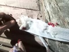 Urgent 24: 30 stores were arrested for violating closing times during intensive campaigns in centers and neighborhoods