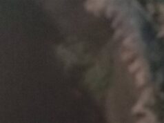 Urgent 24: Real video of fire burning inside a cemetery in Aswan