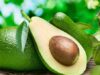 Urgent 24: Promotes heart health.. Benefits of eating avocado