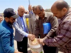 Urgent 24: The Governor of Assiut announces the start of the 2026 wheat harvest season… and the supply of 387 tons for barns and silos