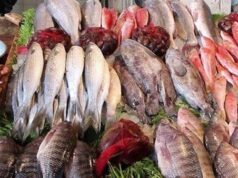 A surprise before Sham El-Nessim… Scenes from the fish market, what’s the story?