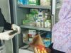 Urgent 24: 76 kg of spoiled and expired fish were seized in intensive veterinary campaigns in Beni Suef