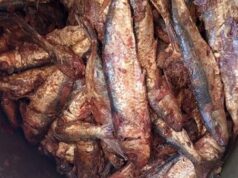 Urgent 24: 200 kilograms of salted fish unfit for consumption were seized during a supply campaign in Luxor