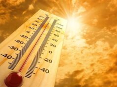 Urgent 24: Today’s weather: hot and misty weather in the morning