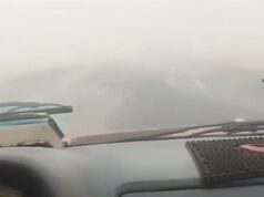 Urgent 24: New Valley warns against driving on highways due to dust storms