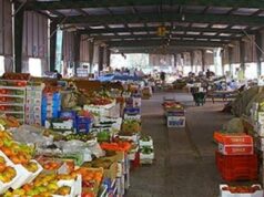 Vegetable prices in Obour Market today… okra reaches 100 pounds