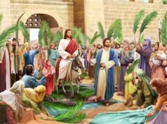 Urgent 24: The most beautiful congratulatory messages to Haddad Zaaf with pictures.. What is said on Palm Sunday?