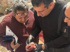 Urgent 24: In Sham El-Nessim… 24 reports were issued and 110 tons and 110 kilograms of salted and smoked fish unfit for consumption in Gharbia were seized.