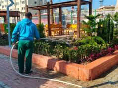 Urgent 24: Dakahlia is preparing to receive citizens in Sham El-Nessim with gardens and parks