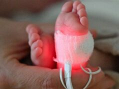 Urgent 24: Fetuses may be distorted… A scientific study warns of eternal chemicals