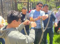 Urgent 24: Successful conclusion of the first training program to empower people of determination in plant protection