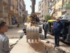 Urgent 24: The Governor of Alexandria directs to raise the efficiency of facilities and pedestrian sidewalks and remove barriers