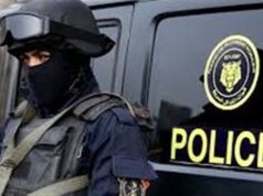 Urgent 24: A gang formation specialized in stealing electricity cables and poles was seized in the Esna center