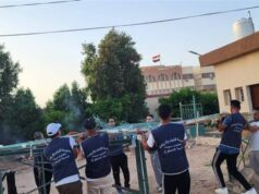 Urgent 24: Youth of South Sinai launches the activities of the first day of the volunteer festival under the slogan “Volunteers for the Love of Egypt.”