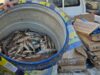 Urgent 24: Before Sham El-Nessim… herring fish unfit for consumption were seized during a rationing campaign in Fayoum